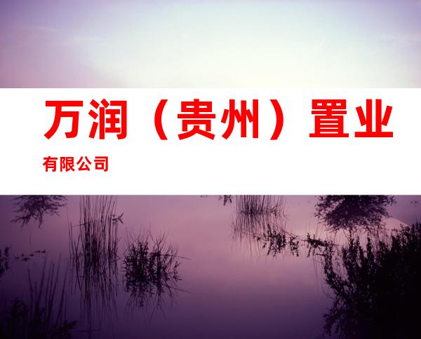 万润(贵州)置业有限公司