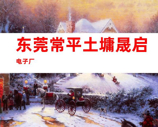 东莞常平土墉晟启电子厂