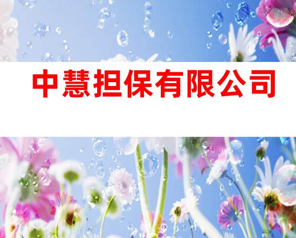 中慧担保有限公司