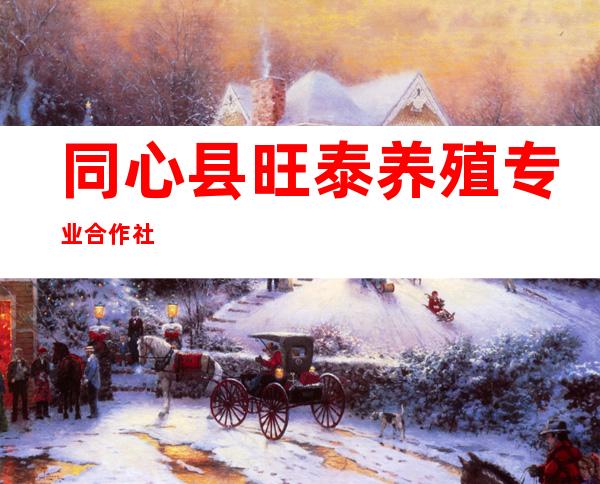 同心县旺泰养殖专业合作社