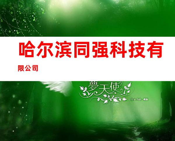 哈尔滨同强科技有限公司