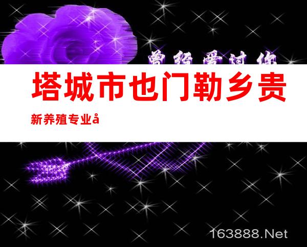塔城市也门勒乡贵新养殖专业合作社