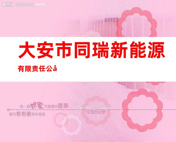 大安市同瑞新能源有限责任公司