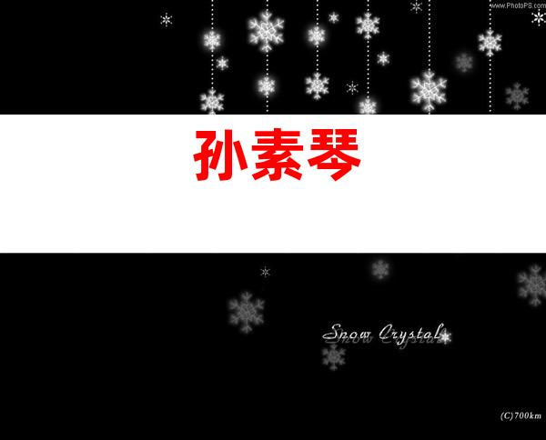 孙素琴