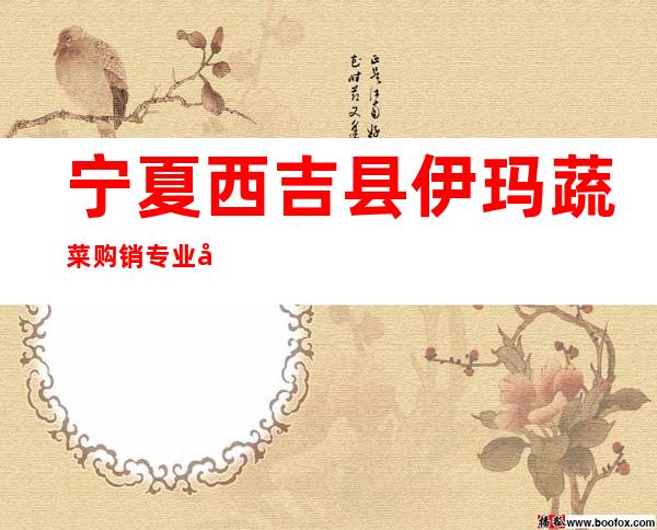 宁夏西吉县伊玛蔬菜购销专业合作社