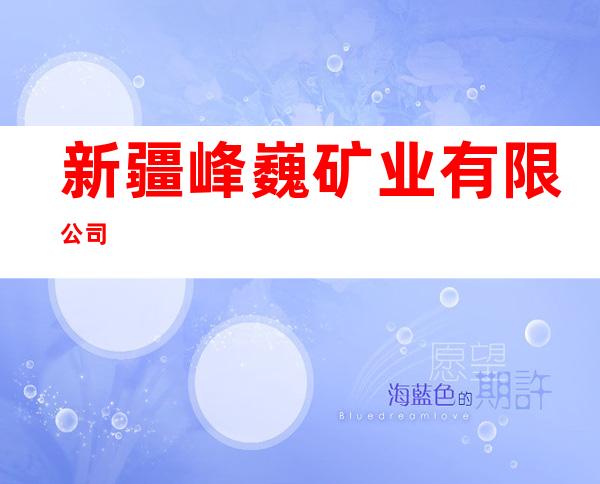 新疆峰巍矿业有限公司