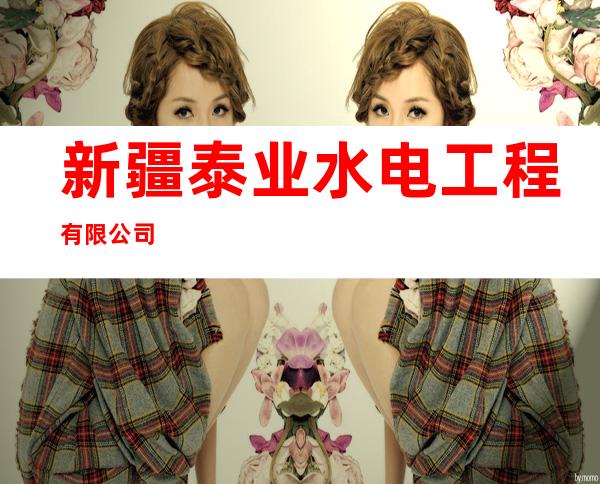 新疆泰业水电工程有限公司