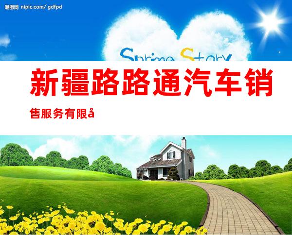 新疆路路通汽车销售服务有限公司