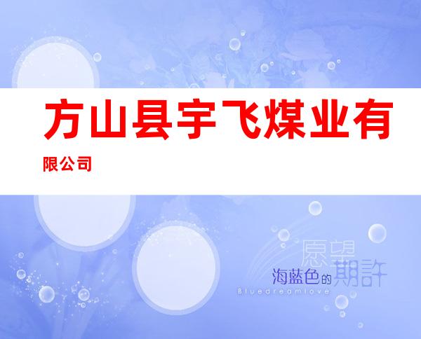 方山县宇飞煤业有限公司