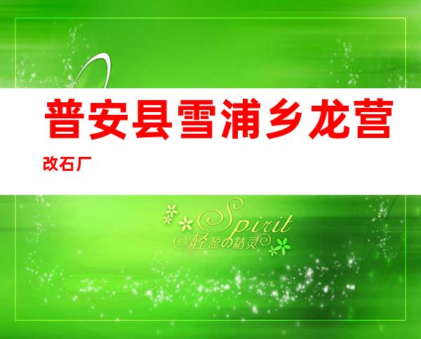 普安县雪浦乡龙营改石厂