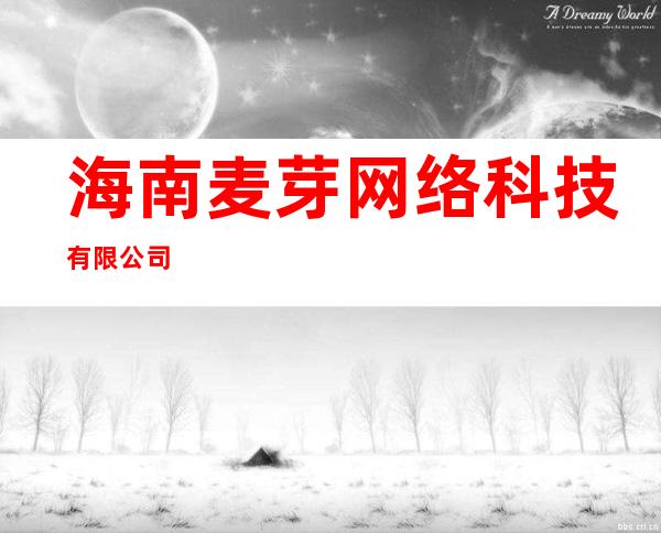 海南麦芽网络科技有限公司