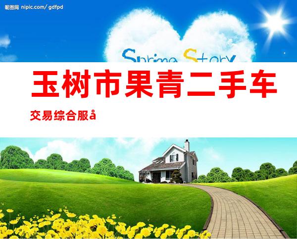 玉树市果青二手车交易综合服务有限责任公司