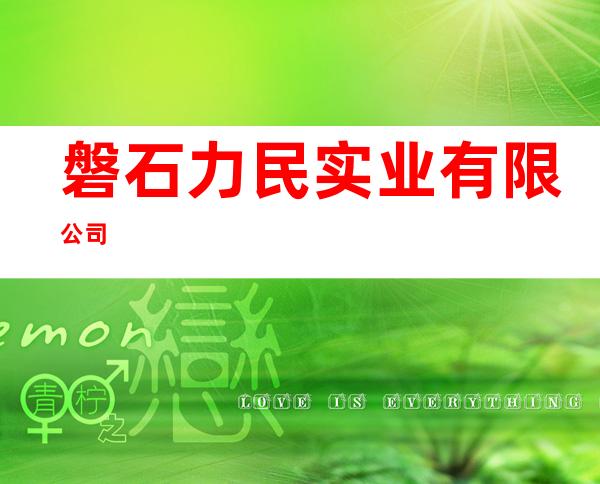 磐石力民实业有限公司
