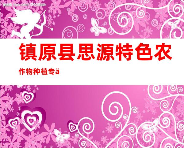 镇原县思源特色农作物种植专业合作社