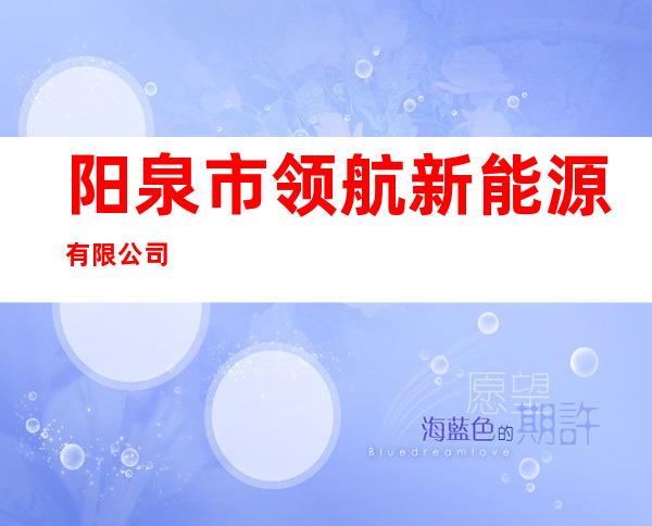 阳泉市领航新能源有限公司